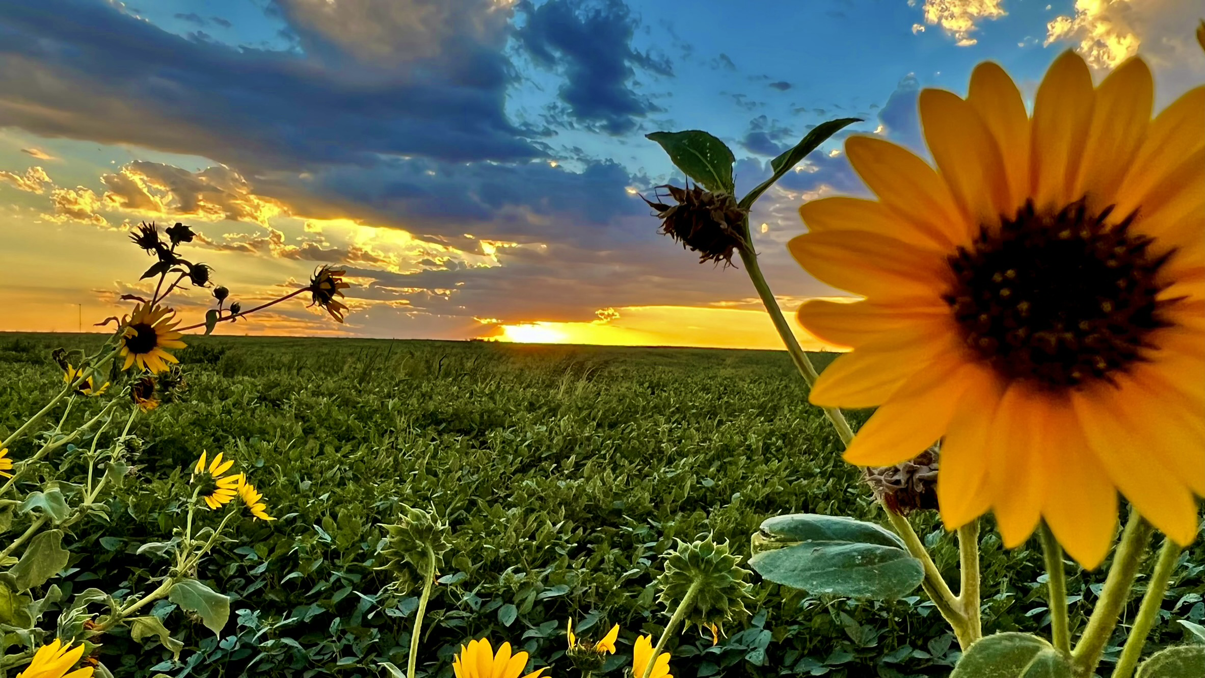 Check out Portrait of a Landscape: Seasons airing on a public television station near you!